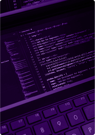Web Development